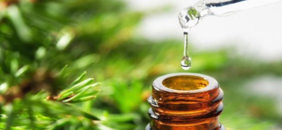Huile essentielle de romarin à cinéole bio : le rituel aromatique du cuir chevelu